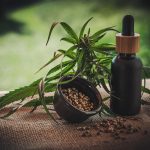 6 Cannabis Business Ideas for Entrepreneurs