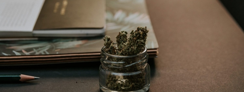 Stay Healthy at Home the San Francisco Way